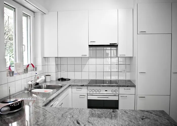 Dario Ca Del Soo Apartment Muralto